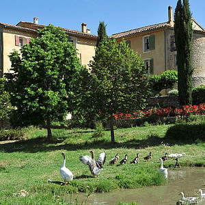 ein alter Templerhof in der Provence