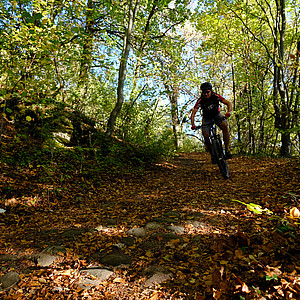 Christa und Matthias - Bayern, Röhn - Mountainbiker Wald