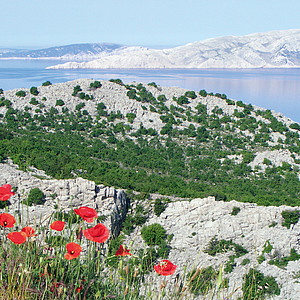 Kroatien: Berge und Meer