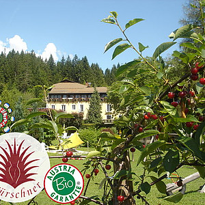 Biohotel Kürschner in Kärnten
