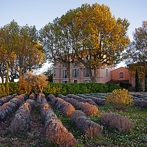 Chateau Duvivier: Ferien beim Winzer Château Duvivier