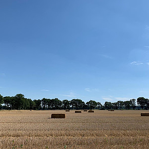 Kristin Okelmann - Warpe - Blick auf Feld
