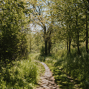 Schleswig-Holstein Franzi - Wunderwelt Wald 3