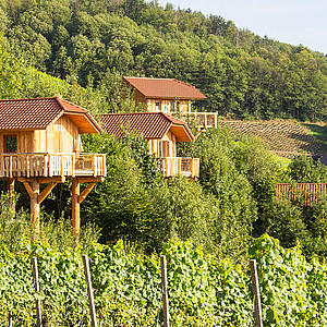 Baumhäuser des Baumhaushotels im Schwarzwald