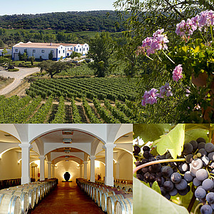 Weingut im Alentejo