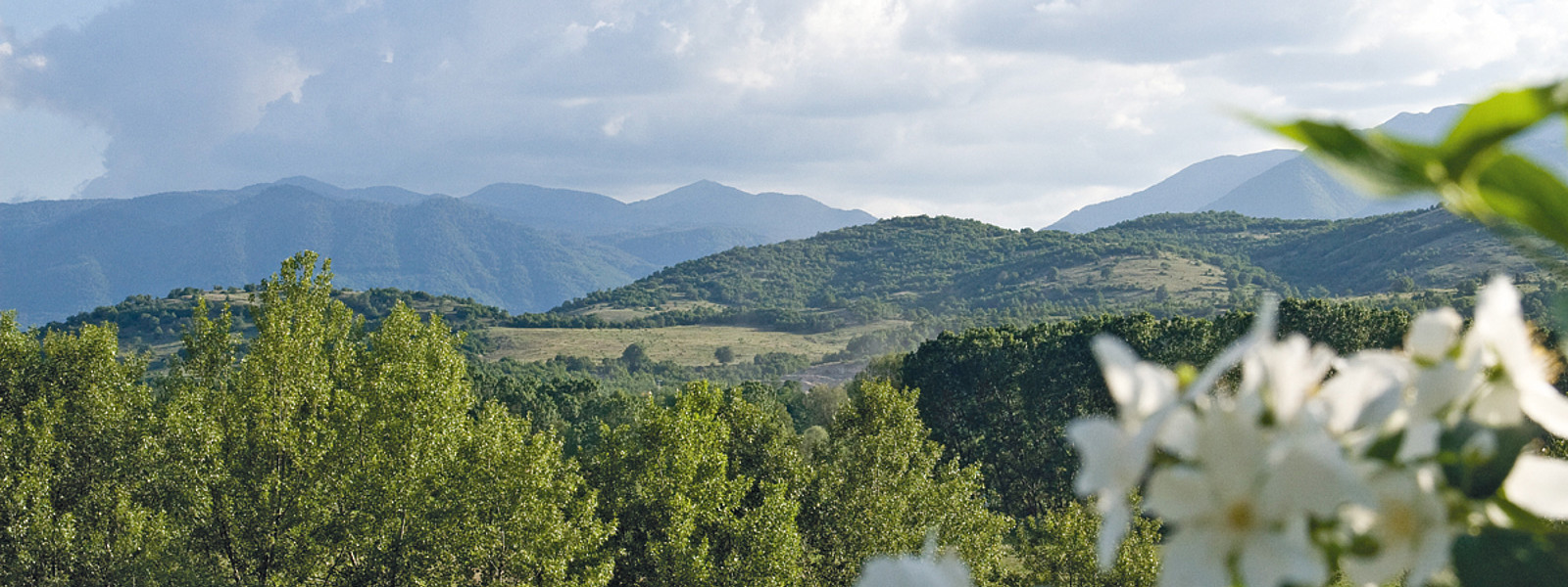 Blick auf die Rhodopen