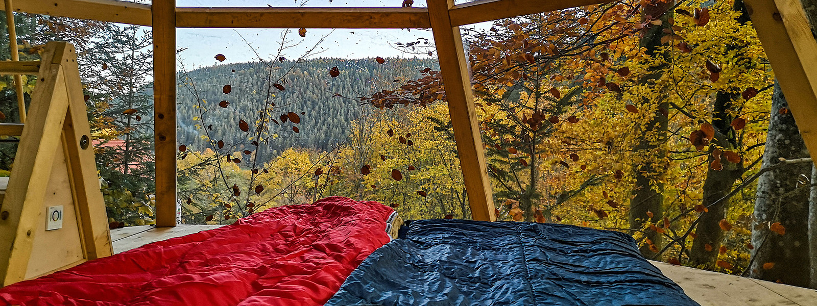 Nördlicher Schwarzwald Übernachtung im Baumhaus mitten in der Natur Ein besonderes Übernachtungserlebnis im Baumhaus im Nördlichen Schwarzwald