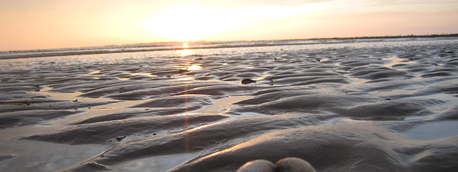 Strand an der Nordsee