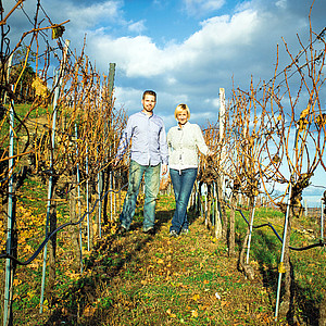 Die Stagards, Weingut Lesehof