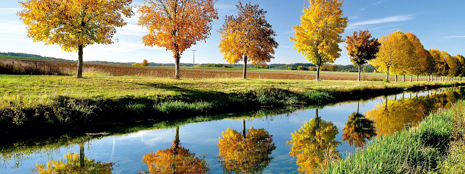 Neumarkt Herbstbäume vor Fluss