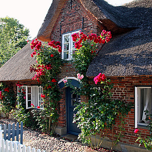 Föhr Tourismus Typisches Friesenhaus