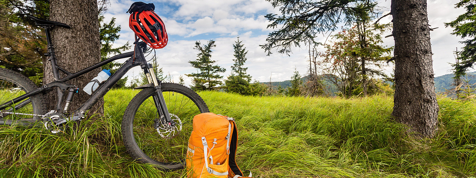 Bikepacking Fahrrad vor Baum