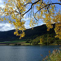inselzeitreisen Vulkaneifel Meerfelder Maar