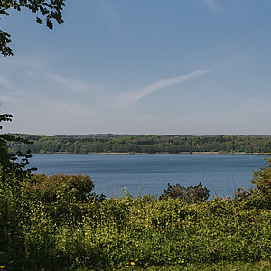 Schleswig-Holstein Franzi - Wunderwelt Wald 2