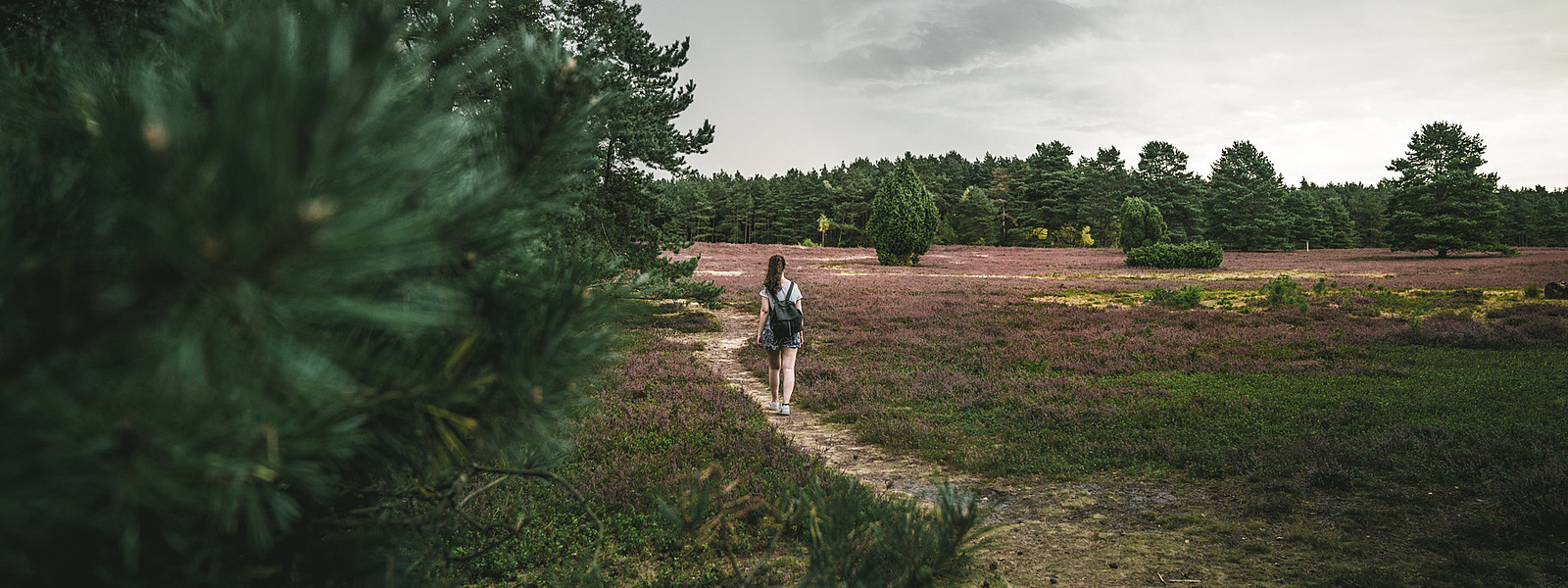 Wanderin im Naturpark Südheide in Niedersachsen