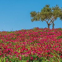 Sizilien