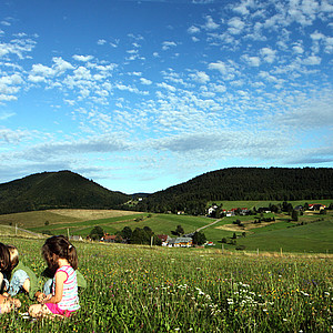 Landschaft im Schwarzwald