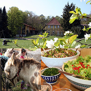 Biohotel, Esel, Essen
