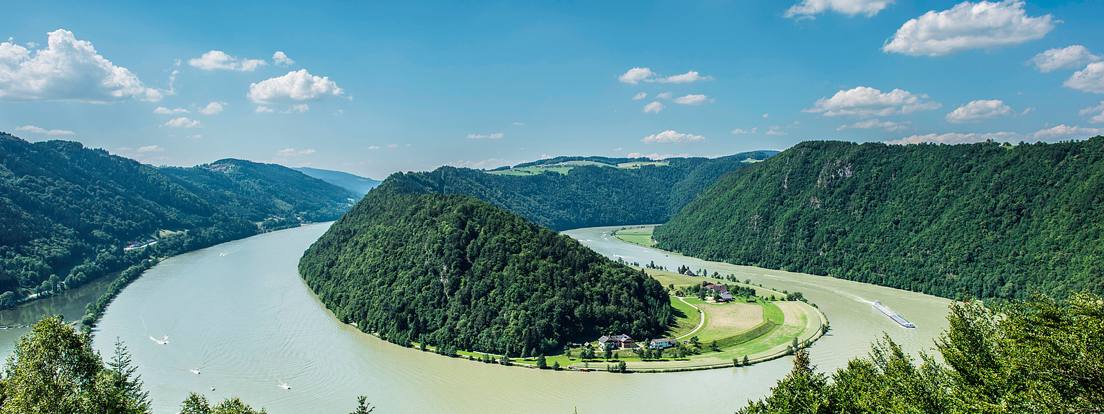Die Schlögener Schlinge der Donau