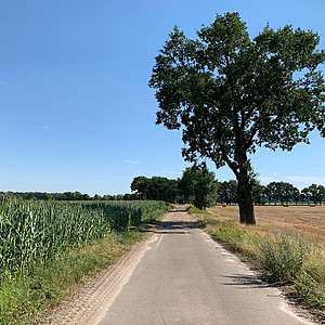 Kristin Okelmann - Warpe - Natur