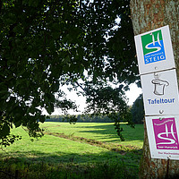 inselzeitreisen Saar-Hunsrück-Steig Wanderweg