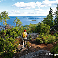 Feelgood Reisen - Bär und Robbe - Finnland Koli Pielinen Wandern