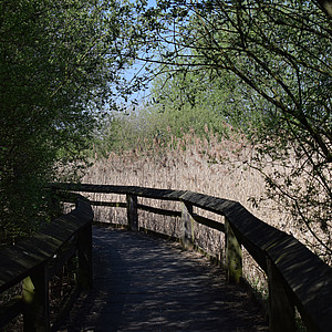 Cara - NRW, Münsterland - Rieselfelder 4