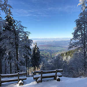 Blick vom verschneiten Schauinsland aufs Rheintal