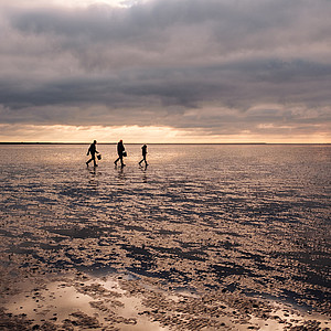 Wattenmeer Dänemark