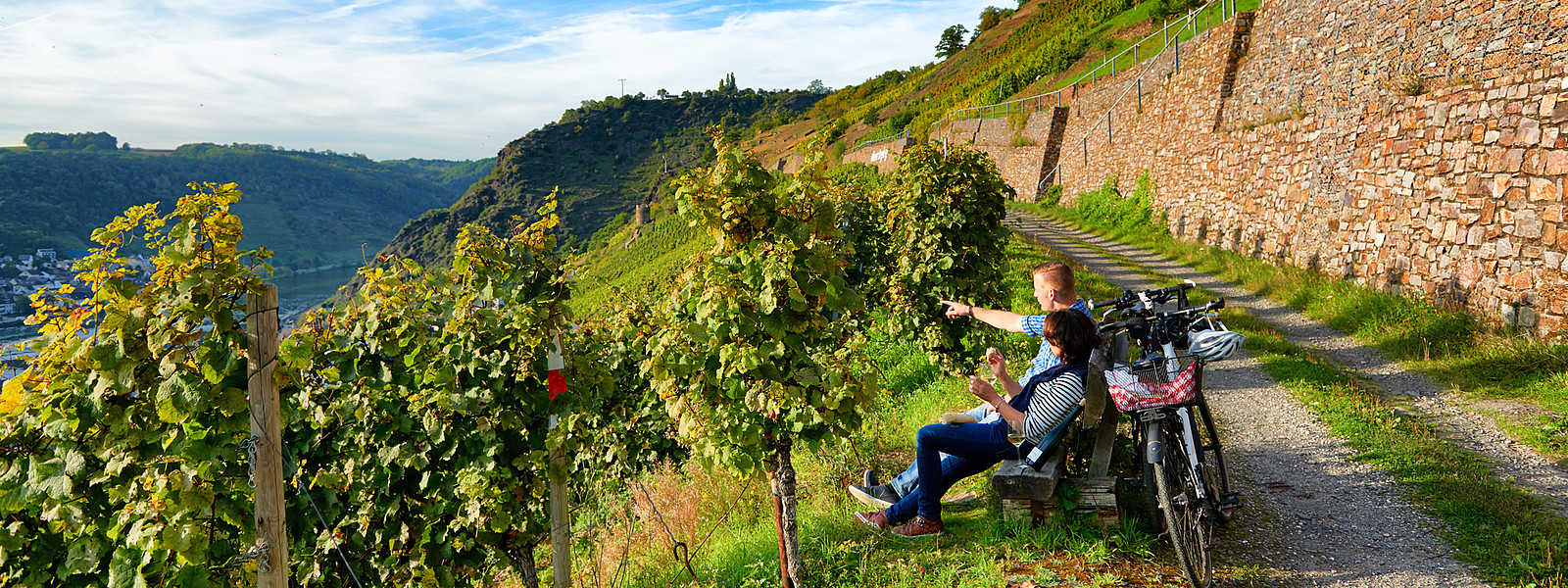 Moselradweg bei Burg Thurant
