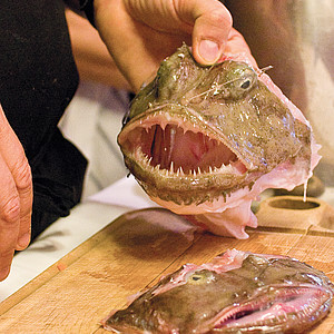 Seeteufel (Fisch)