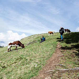 Wandern auf dem Alpe-Adria-Trail