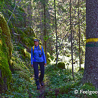 Feelgood Reisen - Bär und Robbe - Finnland Melalahti Oulujarvi Wandern
