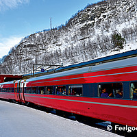 Feelgood Reisen - Wellen, Wind und Einsamkeit - Norwegen Bergenbahn Myrdal