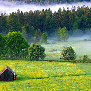 Nördlicher Schwarzwald
