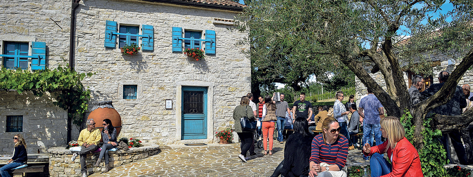 Gäste auf Weingut Kabola in Kroatien
