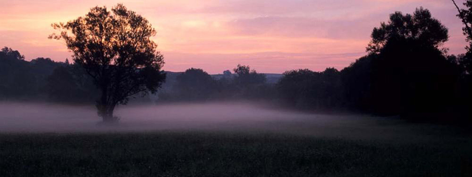Bliesaue im Nebel