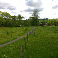 inselzeitreisen Wanderwoche Hunsrück Idyllischer Pfad
