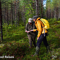 Feelgood Reisen - Wildlife per Bahn - Finnland Lentiira Wanderung Pflanzenkunde