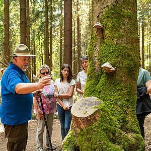 Wandern mit einem Ranger im Thüringer Wald