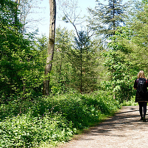 Wald Brühl NRW Marcella