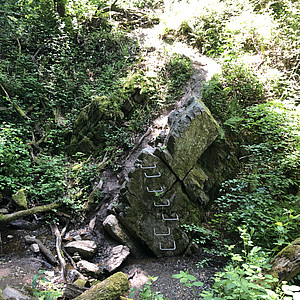 Rhein-Main Alexandra - Kreuzbachklamm