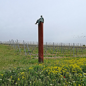 Rheinhessen Kristin - Wonnefrau Abenheim