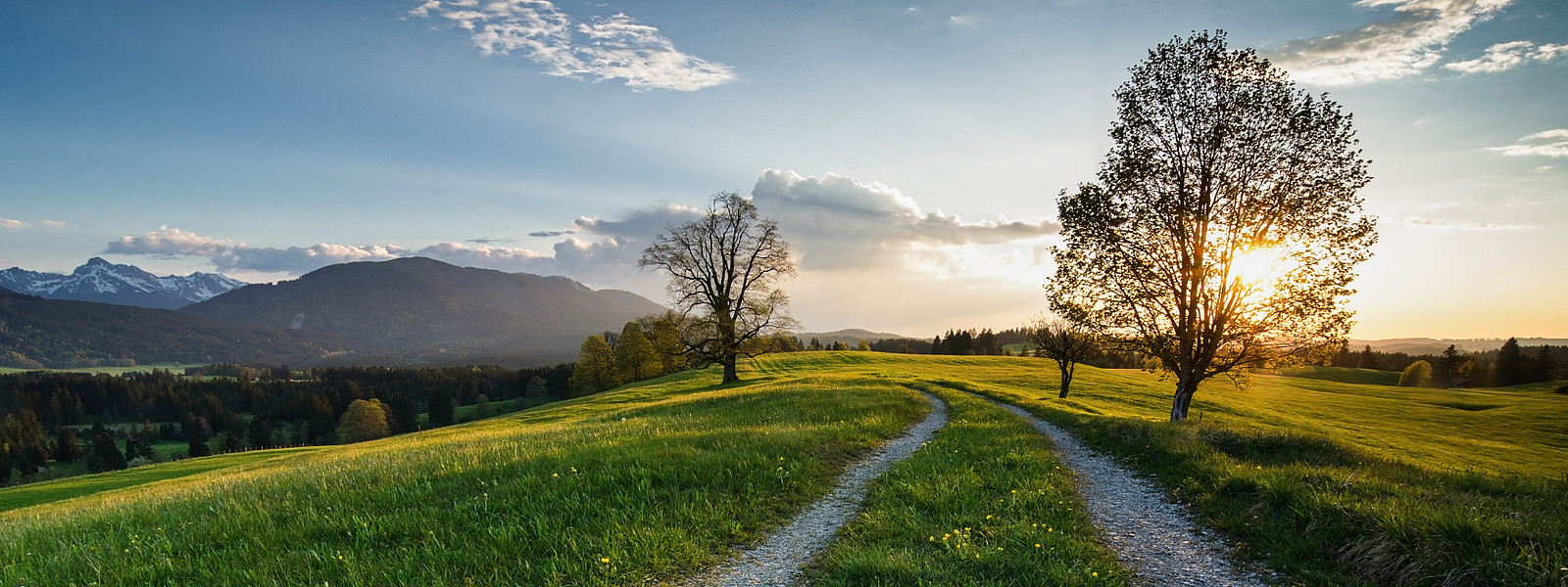 Naturpark Ammergauer Alpen - Am Wetzsteinrücken
