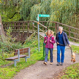 Wanderer mit Hund Ein Paar mit Hund wandern durch den Wald