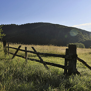 NRW - Sauerland - Naturaufnahme
