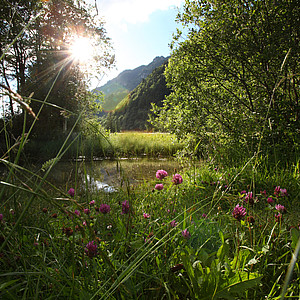 Ammergauer Alpen - Ammerquellen