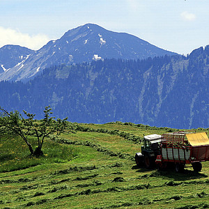 Naturpark Ammergauer Alpen - Aussicht