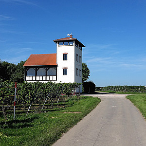 Rheinhessen Kristin - Hiwweltour Stadecker Warte