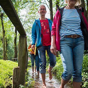 Osnabrücker Land - Grenzgängerroute Teuto-Ems - Lienen